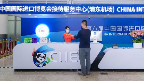 上海两大机场进博接待服务中心11月1日启用，一站式服务赋能国际商务往来
