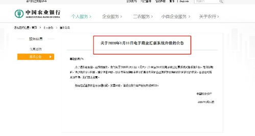 商业承兑汇票信息查询系统 提升商务信息咨询效率的关键工具